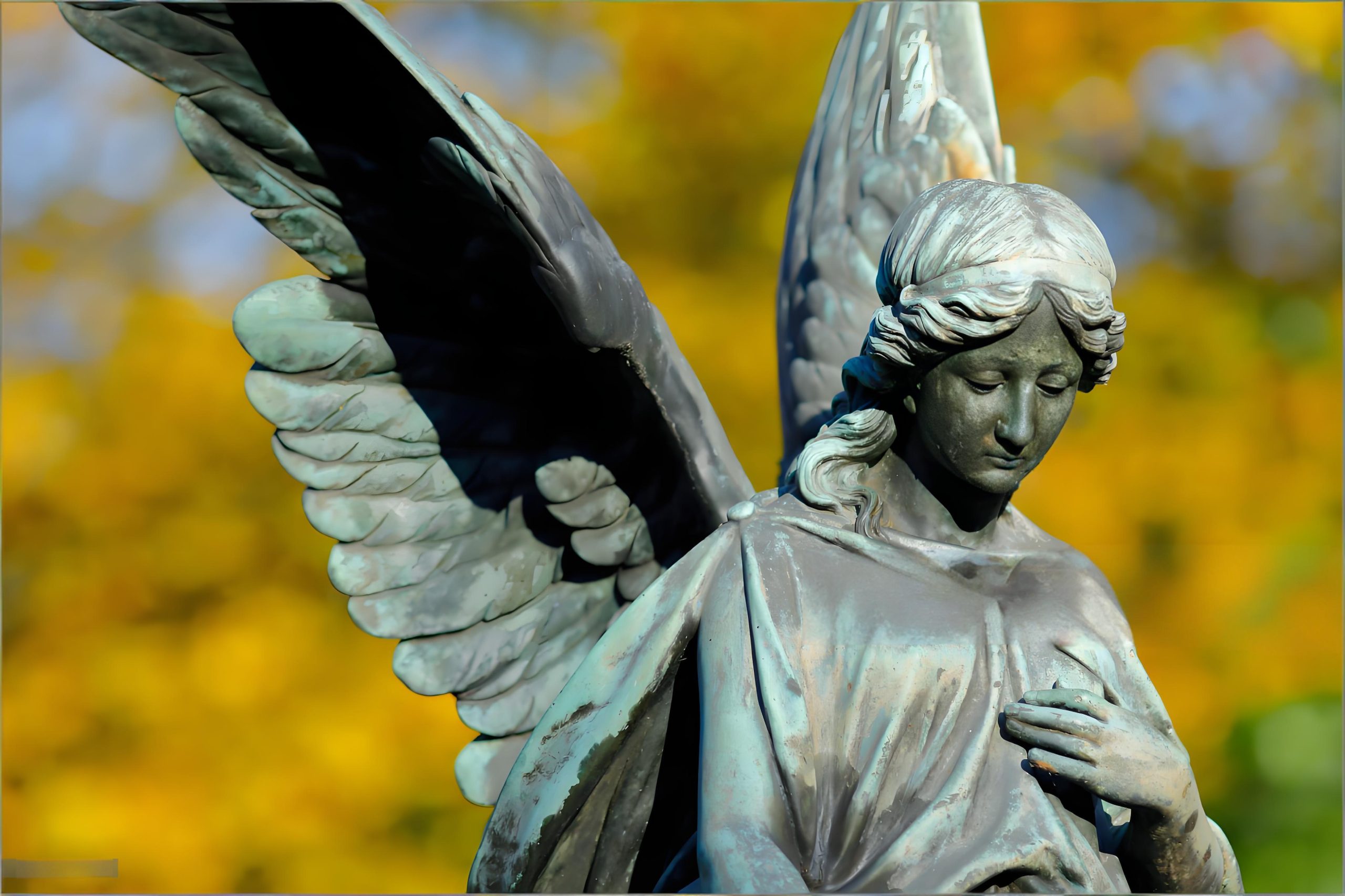 1f02b84c806c19fb21fd9fad1393109f