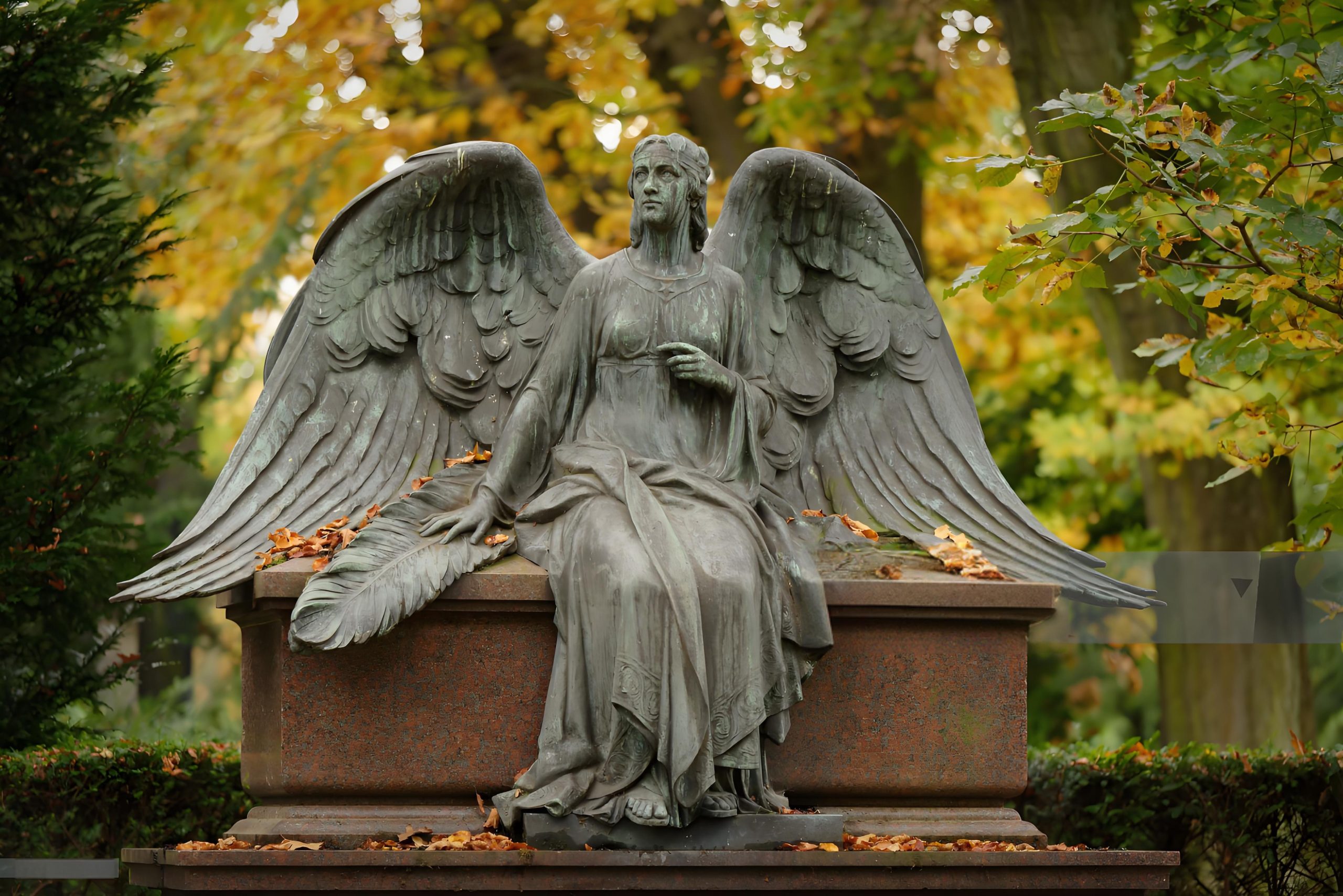 80bd47ec57cb8e61ef523929b6599fb4